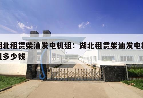 湖北租賃柴油發電機組：湖北租賃柴油發電機組多少錢 